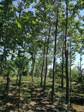 Eladó telek, Bicskén 9.5 M Ft / költözzbe.hu