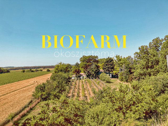 Eladó mezogazdasagi ingatlan, Érden 199.9 M Ft