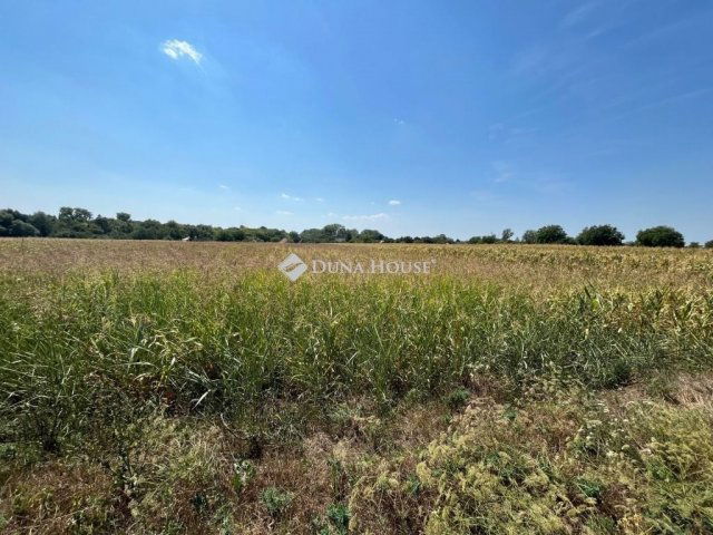 Eladó telek, Pátkán 4.5 M Ft / költözzbe.hu