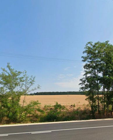 Eladó ipari ingatlan, Gyömrőn 456 M Ft / költözzbe.hu