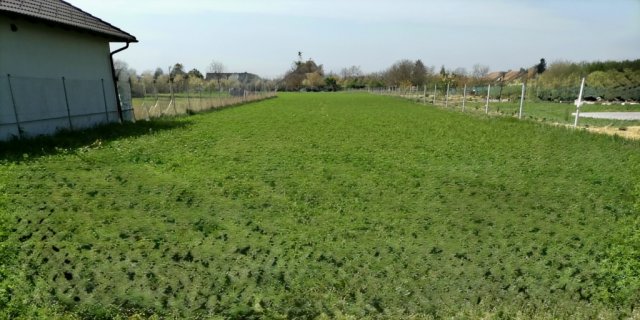 Eladó telek, Iváncsán 19.9 M Ft / költözzbe.hu