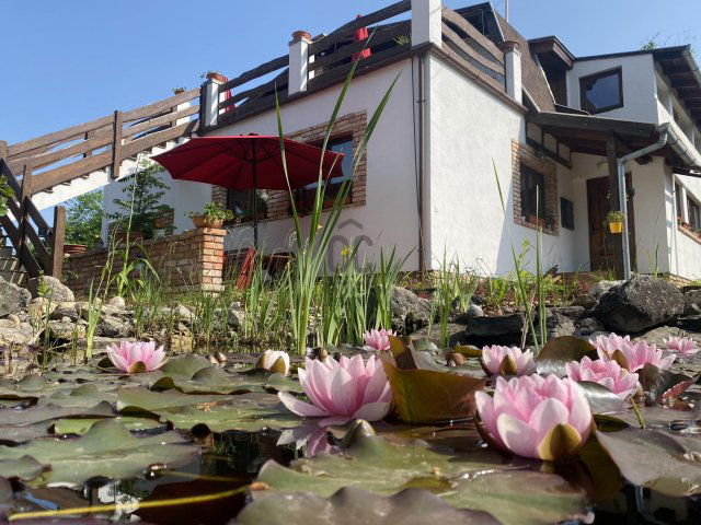 Eladó téglalakás, Szigetmonostorban 36.9 M Ft, 1 szobás