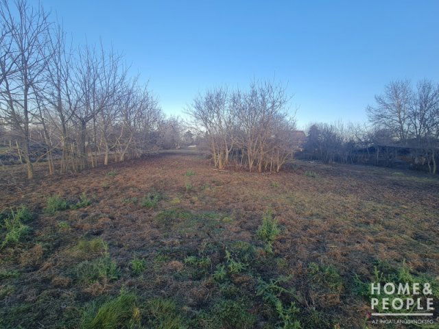 Eladó telek, Hódmezővásárhelyen 7.5 M Ft / költözzbe.hu