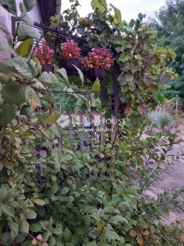 Eladó családi ház, Kecskeméten 74.9 M Ft, 4 szobás