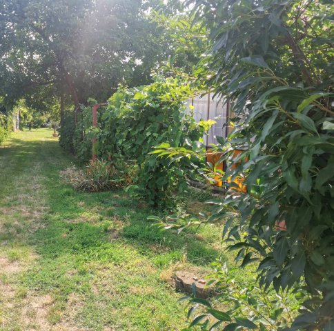 Eladó telek, Hajdúböszörményen 67.405 M Ft, 2 szobás