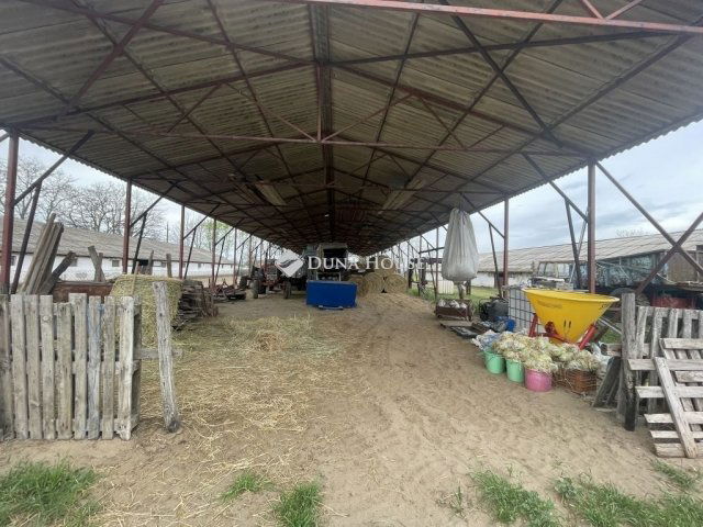 Eladó mezogazdasagi ingatlan, Domaszéken 160 M Ft