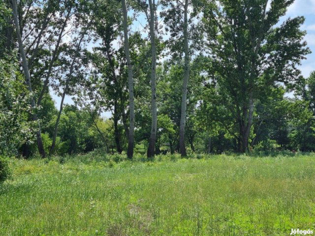 Eladó telek, Mezőtúron 16 M Ft / költözzbe.hu