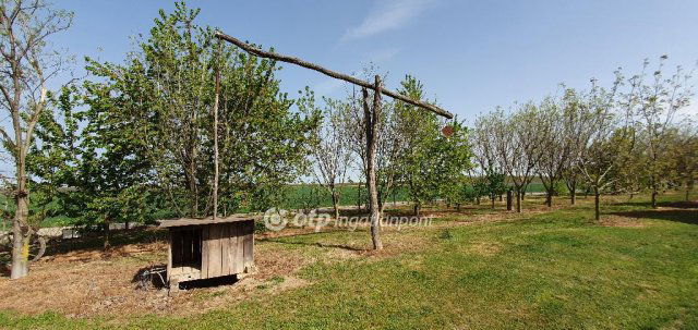 Eladó mezogazdasagi ingatlan, Kisszőlősön 64.9 M Ft