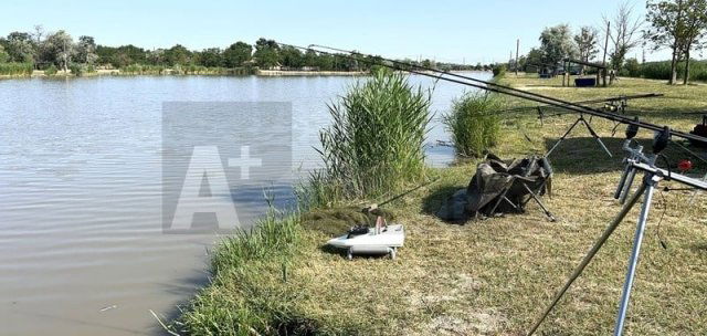 Eladó mezogazdasagi ingatlan, Szegeden 230 M Ft