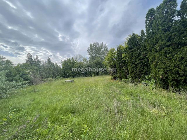 Eladó ipari ingatlan, Dunaharasztin 450 M Ft / költözzbe.hu