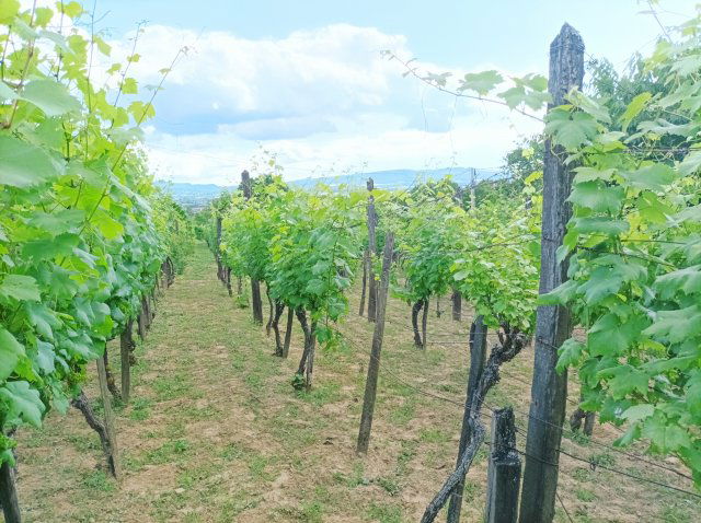 Eladó nyaraló, Sümegen 20.9 M Ft, 1 szobás