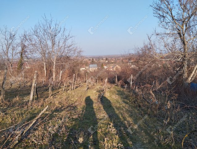 Eladó telek, Nyúlon 15 M Ft / költözzbe.hu