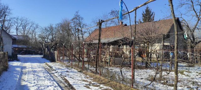 Eladó mezogazdasagi ingatlan, Szigethalmon 69.9 M Ft, 2 szobás