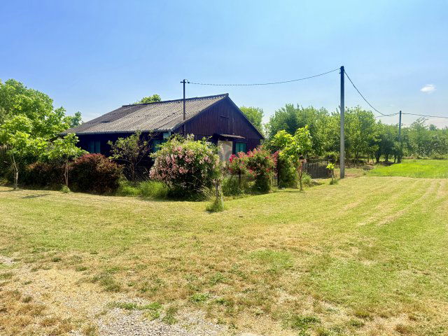 Eladó telek, Tiszaföldváron 15.9 M Ft, 3 szobás