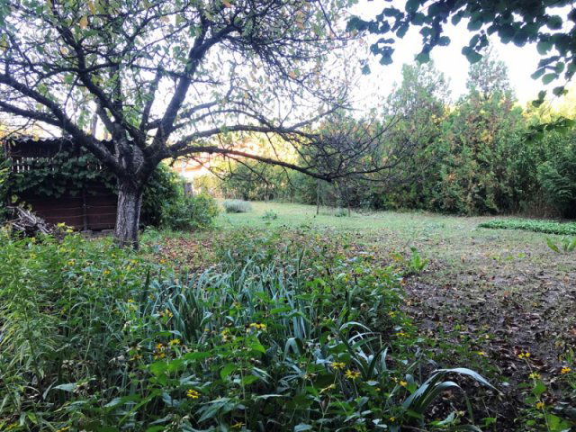 Eladó telek, Dunaharasztin 49.99 M Ft / költözzbe.hu