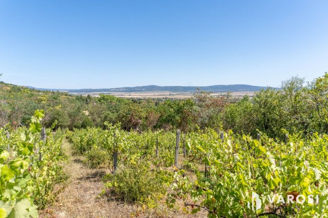 Eladó mezogazdasagi ingatlan, Zsámbékon 25.5 M Ft