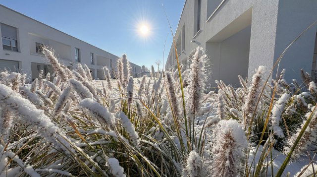 Eladó téglalakás, Nyíregyházán, Törzs utcában 74.9 M Ft