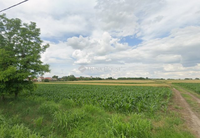 Eladó telek, Enyingen 12.5 M Ft / költözzbe.hu