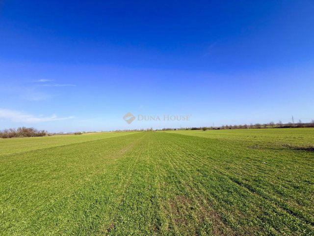 Eladó telek, Taksonyon 30 M Ft / költözzbe.hu