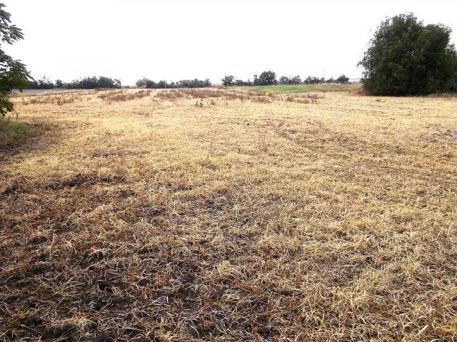 Eladó telek, Kápolnásnyéken 25 M Ft / költözzbe.hu