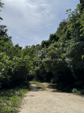 Eladó telek, Budapesten, II. kerületben 79.99 M Ft