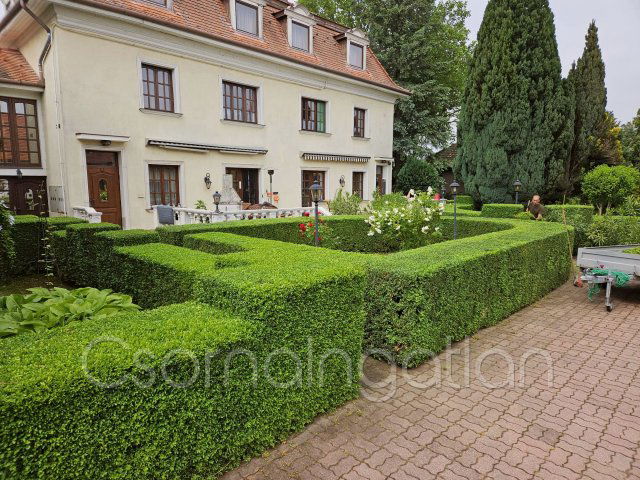 Eladó családi ház, Szilen 199.98 M Ft, 14 szobás