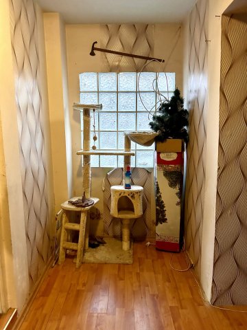 Eladó családi ház, Komáromban 25 M Ft, 3 szobás