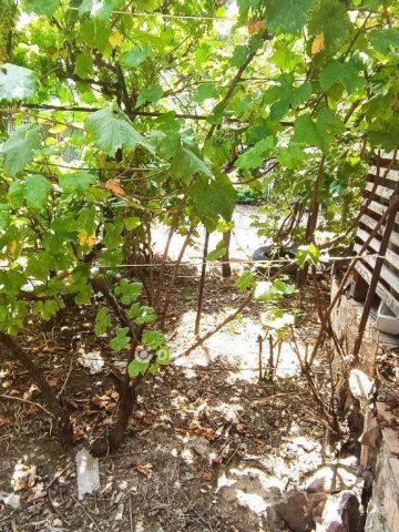 Eladó családi ház, Kiskunlacházán 69.9 M Ft, 2+1 szobás