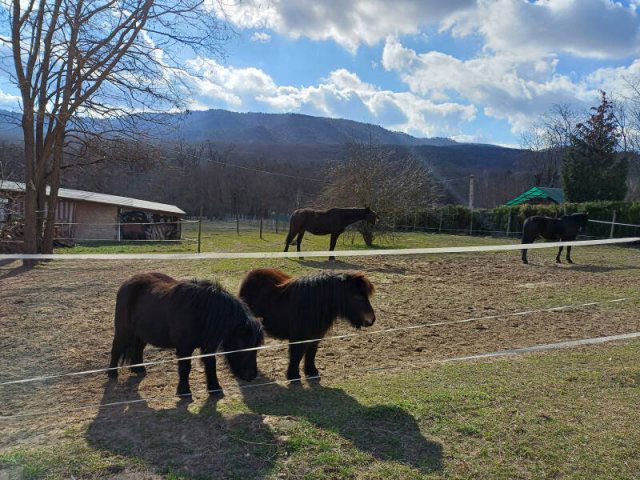 Eladó telek, Pilisszentivánon 49.9 M Ft / költözzbe.hu