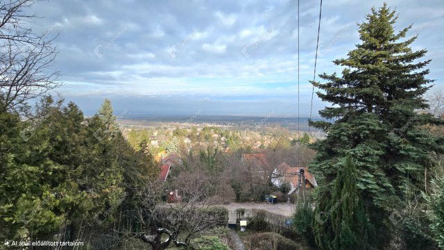 Eladó családi ház, Leányfaluban 120 M Ft, 3 szobás