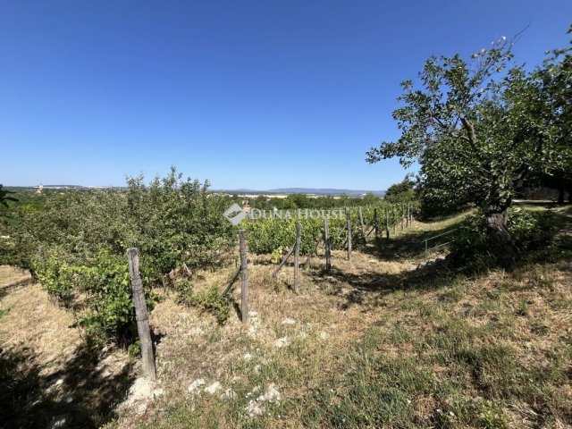 Eladó mezogazdasagi ingatlan, Berhidán 12.5 M Ft, 1 szobás