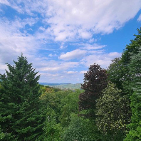 Eladó családi ház, Budapesten, XII. kerületben 549.9 M Ft