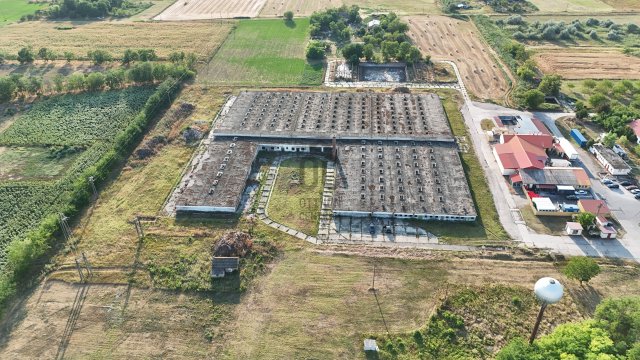 Eladó ipari ingatlan, Cegléden 350 M Ft / költözzbe.hu