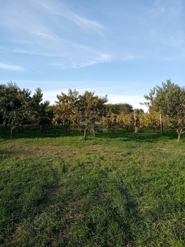 Eladó nyaraló, Szigetváron 5.7 M Ft / költözzbe.hu
