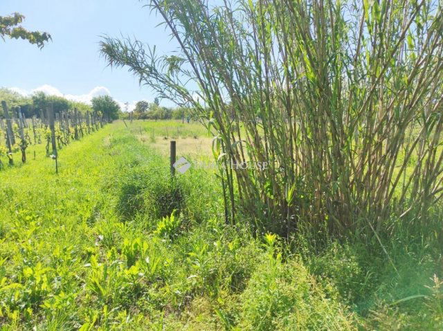 Eladó telek, Marcaliban 6 M Ft / költözzbe.hu