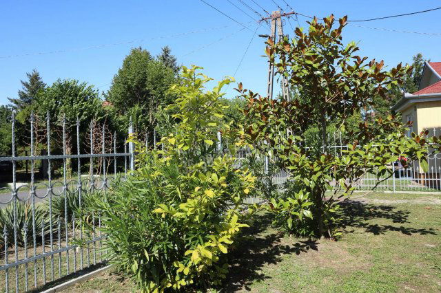 Eladó családi ház, Balatonfenyvesen 180 M Ft, 8 szobás