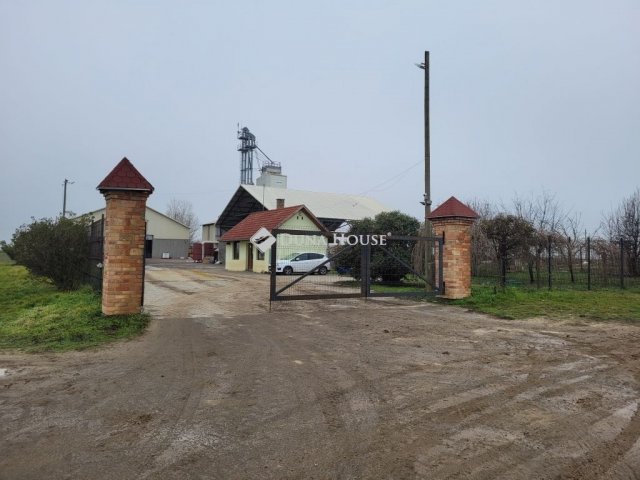 Eladó mezogazdasagi ingatlan, Szőlősgyörökön 350 M Ft