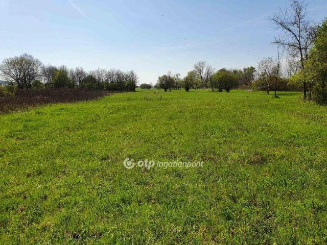 Eladó mezogazdasagi ingatlan, Balatonedericsen 147.052 M Ft