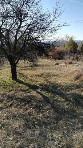 Eladó mezogazdasagi ingatlan, Siófokon 9.3 M Ft