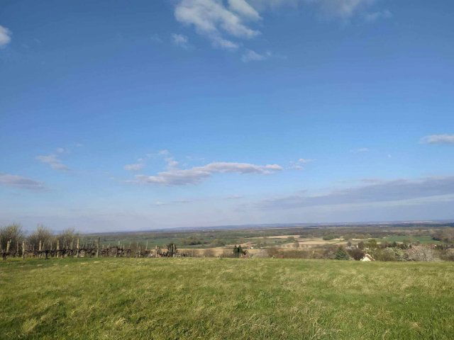 Eladó üzlethelyiség, Zalakaroson 51.9 M Ft / költözzbe.hu