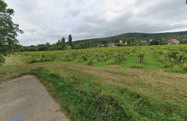 Eladó mezogazdasagi ingatlan, Balatonszepezden 99 M Ft