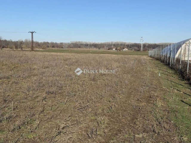 Eladó telek, Kecskeméten 25 M Ft / költözzbe.hu