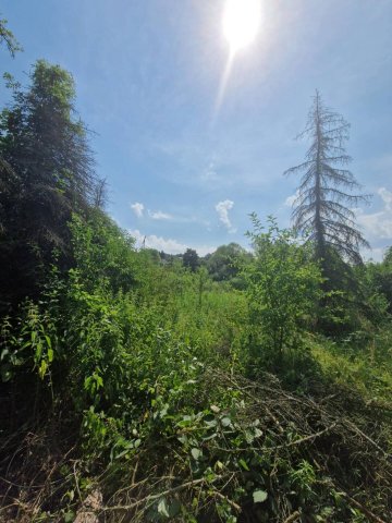 Eladó ipari ingatlan, Komlón 150 M Ft, 2 szobás