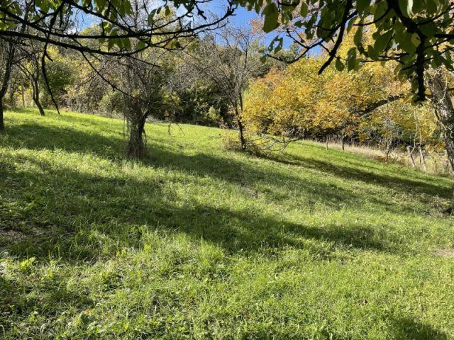 Eladó nyaraló, Pécselyen 29.9 M Ft, 2 szobás