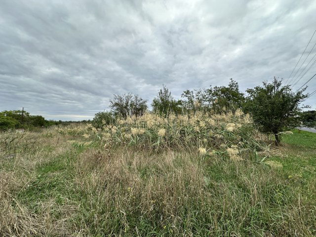 Eladó telek, Mezőberényben, Gyomai úton 0.99 M Ft