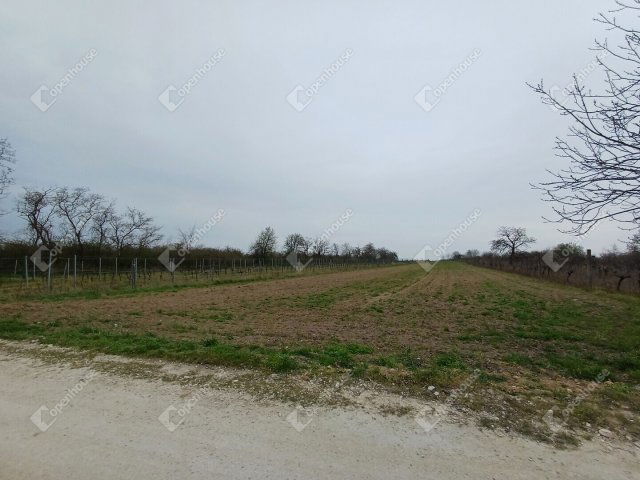 Eladó telek, Fertőszentmiklóson 1.5 M Ft / költözzbe.hu