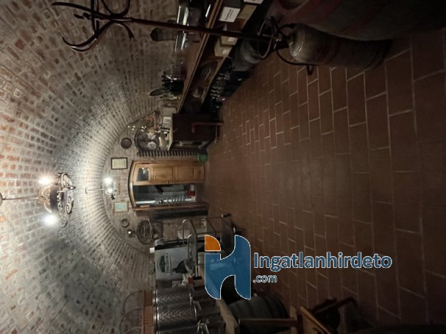 Eladó ipari ingatlan, Lentiben 98.54 M Ft / költözzbe.hu