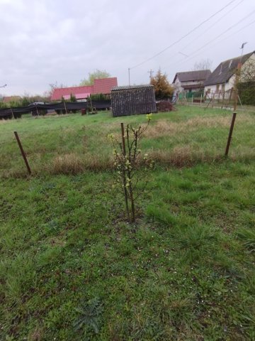 Eladó telek, Szegeden 24.5 M Ft / költözzbe.hu