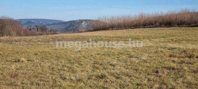 Eladó mezogazdasagi ingatlan, Törökbálinton 14.9 M Ft