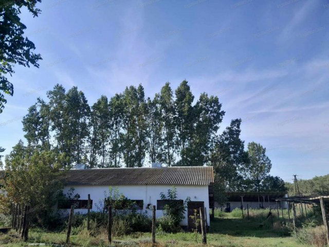 Eladó mezogazdasagi ingatlan, Kerekegyházán 65 M Ft